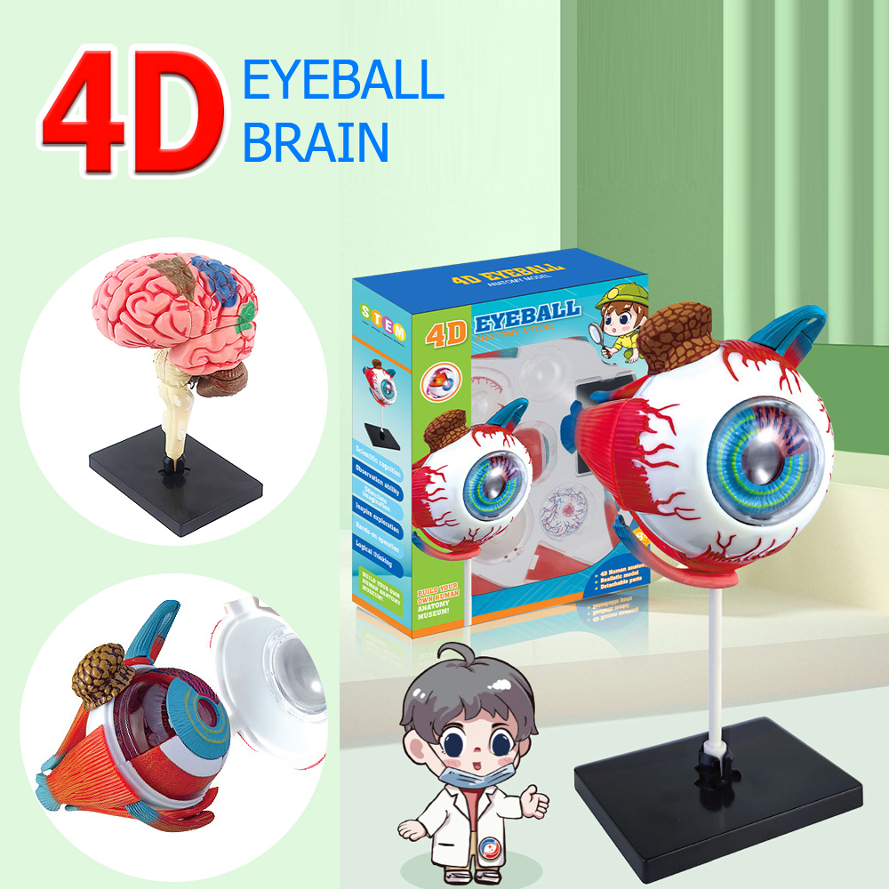 Kerajinan seni kualitas tinggi - Art And Craft Science ulasan dan harga