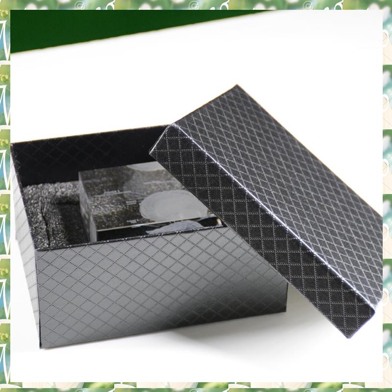 FIZP Kristal 3D Model Anatomi  - Art And Craft Science ulasan dan harga